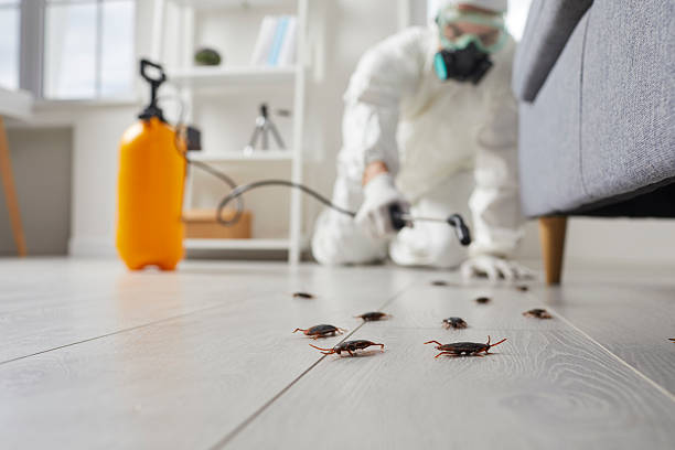 Trusted Rodent Control service in Upland, PA - Nex Pest Control