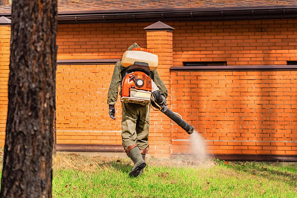 Trusted Ant Control service in Upland, PA - Nex Pest Control